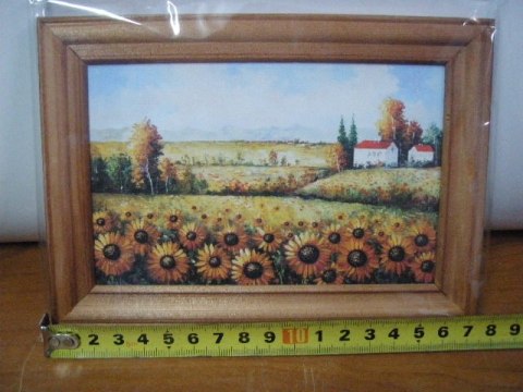 Obraz w drewnianej ramie 10/15 - pejzaże