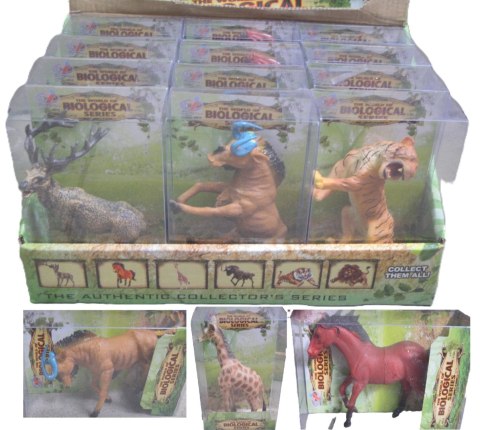 Zwierzęta mix MPD77862