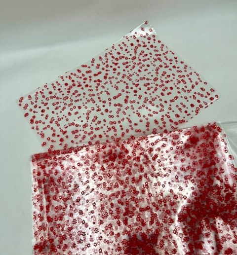 Worek celofan 25x35cm czerwone kwiaty 25szt. | N8