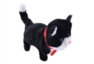 Kot na baterie 16 x 13 x 8cm