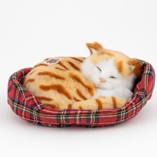 Kotek miauczący na posłaniu 15cm B-2637