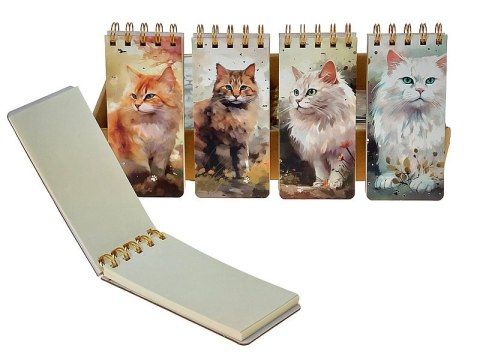 Notesik z kotkiem 15 x 14 x 6,5cm skoroszyt czysty