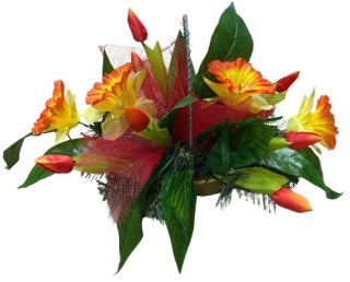 Stroik kosz u uchem łódka