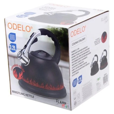 Czajnik stalowy 3,2l FLANN MAGIC grube dno OD2629
