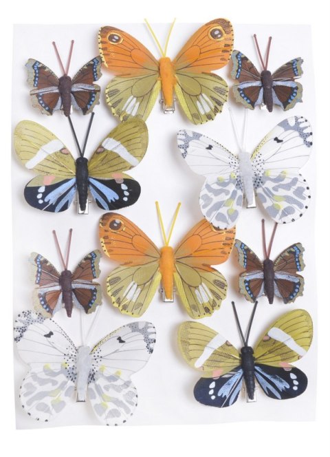 Motylki na klipie 10szt. multicolor | 173CAN01555